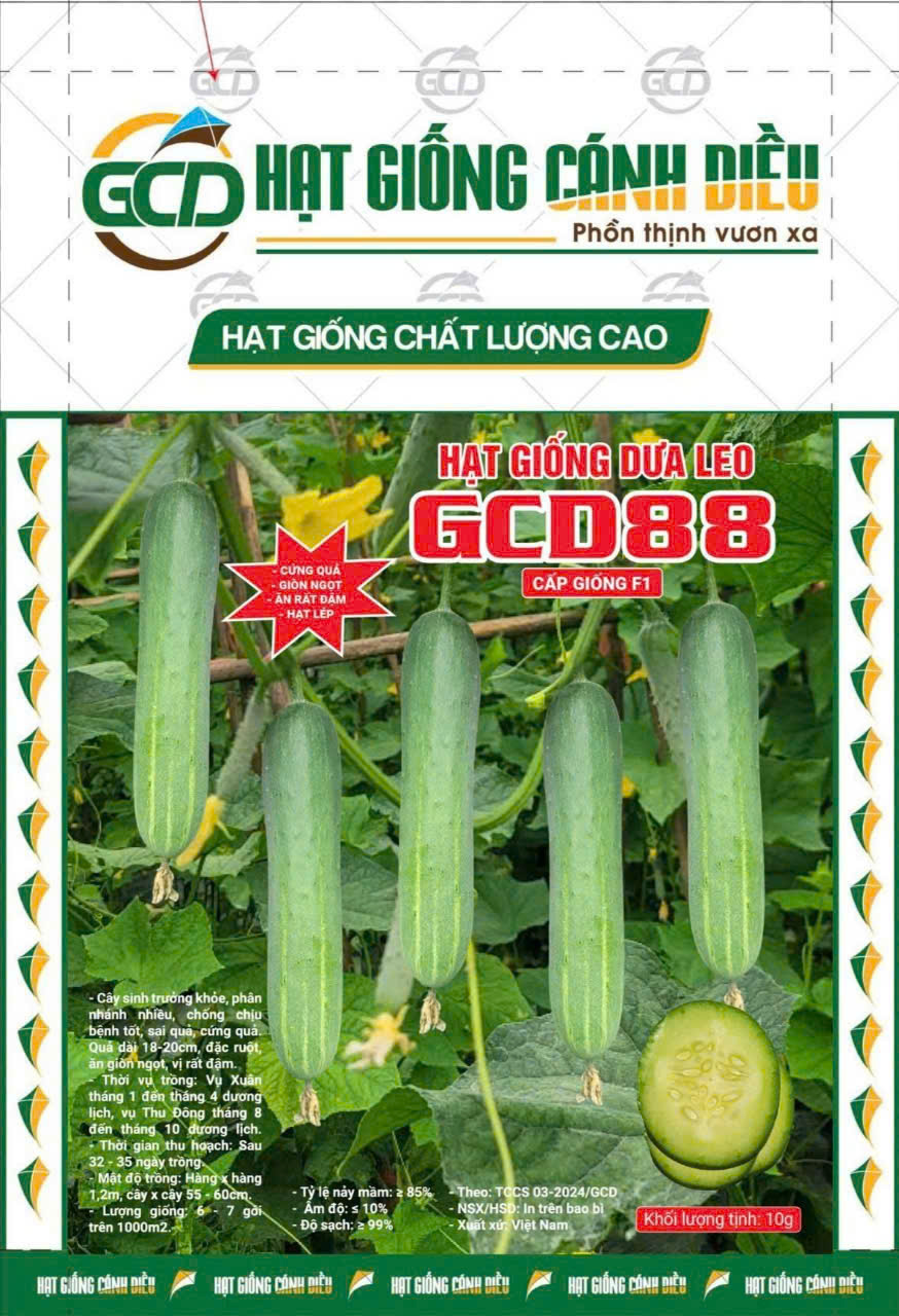 Hạt giống dưa leo GCD 88